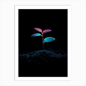 Small Plant In The Dark 3 Art Print