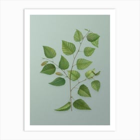 Vintage Paper Birch Botanical Art on Mint Green n.0492 Art Print