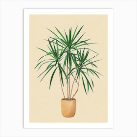 Dracaena Plant Minimalist Illustration 8 Art Print