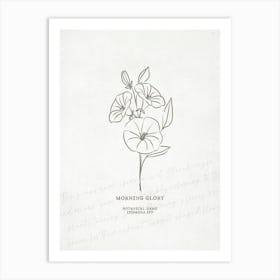 Morning Glory Birth Flower | Antique Art Print