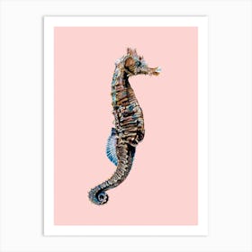 Seahorse On Pink Art Print