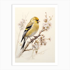 Vintage Bird Drawing American Goldfinch 2 Art Print