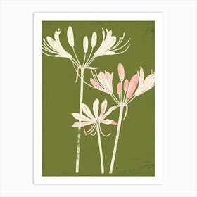 Pink & Green Agapanthus 3 Art Print