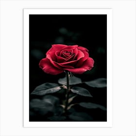 Dark Rose 160 Art Print