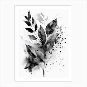 Black And White Leaves Art Print