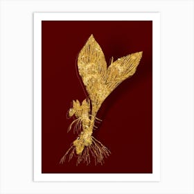 Vintage Koemferia Longa Botanical in Gold on Red n.0201 Art Print