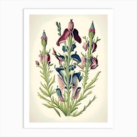 Beardtongue Wildflower Vintage Botanical Art Print