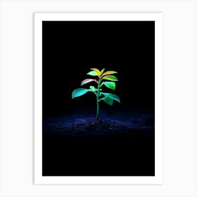 Young Plant In The Dark 3 Art Print