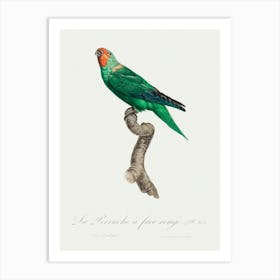 The Red Faced Parrot From Natural History Of Parrots, Francois Levaillant Art Print