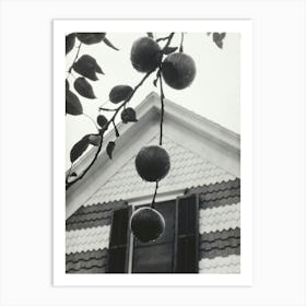 Gable And Apples (1922), Alfred Stieglitz Art Print