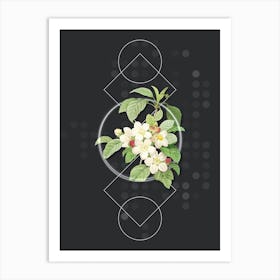 Vintage Apple Blossom Botanical with Geometric Line Motif and Dot Pattern n.0270 Art Print