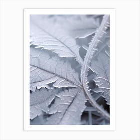 Frosty Leaves 3 Art Print