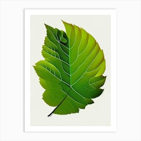 Elm Leaf Vibrant Inspired 3 Art Print