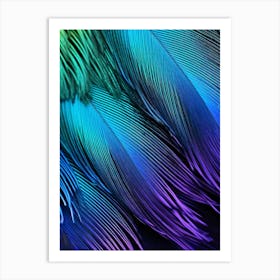 Feathers Art Print