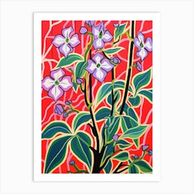 Pink And Red Plant Illustration Tradescantia Tricolor Art Print