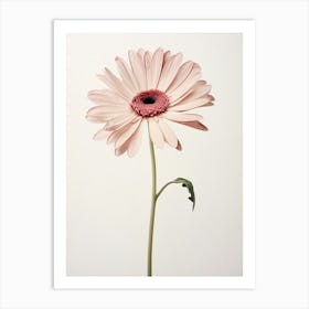 Pressed Flower Botanical Art Gerbera Daisy 2 Art Print