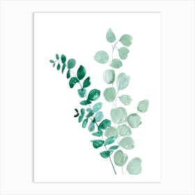 Eucalyptus Leaves Art Print