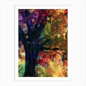 Autumn Tree 12 Art Print