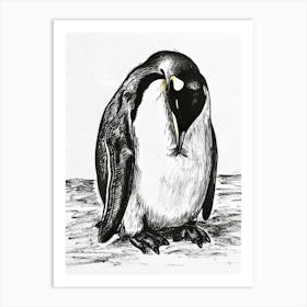 King Penguin Preening Their Feathers 1 Art Print