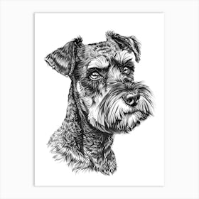 Miniature Schnauzer Dog Black & White Line Sketch 1 Art Print