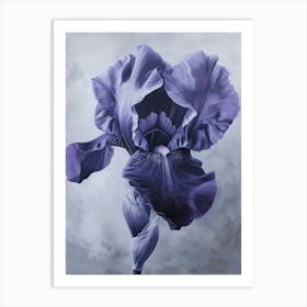 Iris Fl 95 Art Print