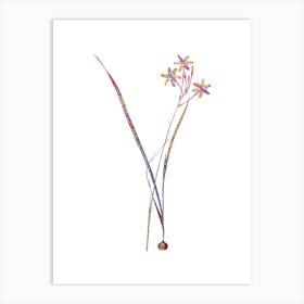 Stained Glass Ixia Longiflora Mosaic Botanical Illustration on White n.0347 Art Print