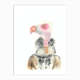 Vulture bird Art Print