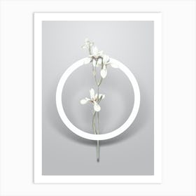 Vintage Siberian Iris Minimalist Botanical Geometric Circle on Soft Gray n.0302 Art Print