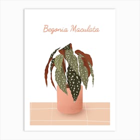 Maculata Art Print