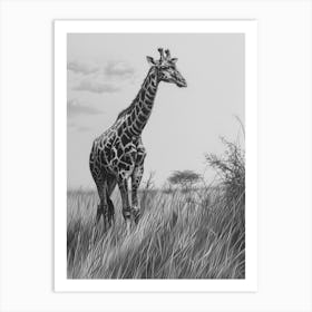 Giraffe In The Grass Pencil Drawing 5 Art Print