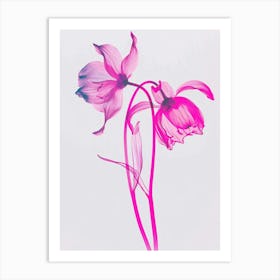 Hot Pink Bluebell 2 Art Print