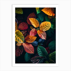 Autumn Leaves 92 Art Print