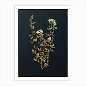 Vintage Yellow Jasmine Flowers Botanical Watercolor Illustration on Dark Teal Blue n.0155 Art Print