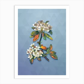 Vintage Almond Leaved Pear Botanical Art on Summer Song Blue n.1033 Art Print