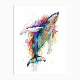 Humpback Whale Colourful Watercolour 1 Art Print