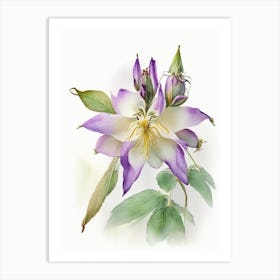 Wild Columbine Wildflower Watercolour Art Print