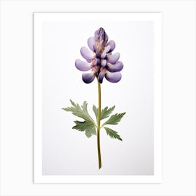 Pressed Wildflower Botanical Art Lupine 2 Art Print