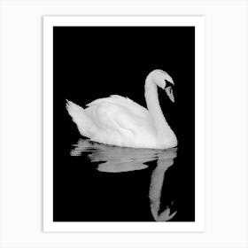 Swan on Water in Line Art Art Print