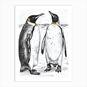 King Penguin Squabbling Over Territory 1 Art Print