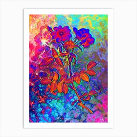 Lady Monson Rose Bloom Botanical in Acid Neon Pink Green and Blue n.0259 Art Print