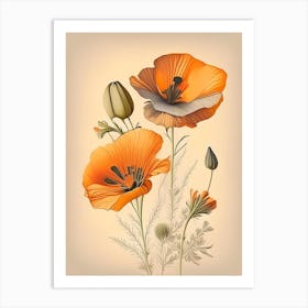 California Poppy Spices And Herbs Retro Drawing 2 Art Print