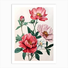 Peonies 8 Art Print