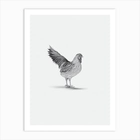 Chicken B&W Pencil Drawing 4 Bird Art Print