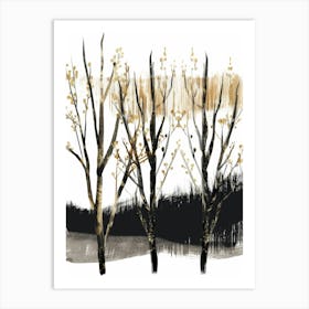 Birch Trees 13 Art Print