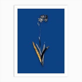 Vintage Corn Lily Black and White Gold Leaf Floral Art on Midnight Blue n.0296 Art Print
