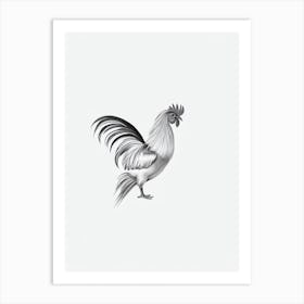 Rooster B&W Pencil Drawing 2 Bird Art Print