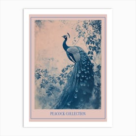 Blue Peacock & Ivory Cyanotype Inspired Poster Art Print