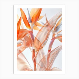 Bird Of Paradise 3 Art Print