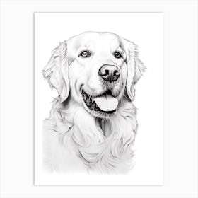 Golden Retriever Dog, Line Drawing 4 Art Print