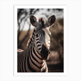 Portrait of a Zebra Art Print